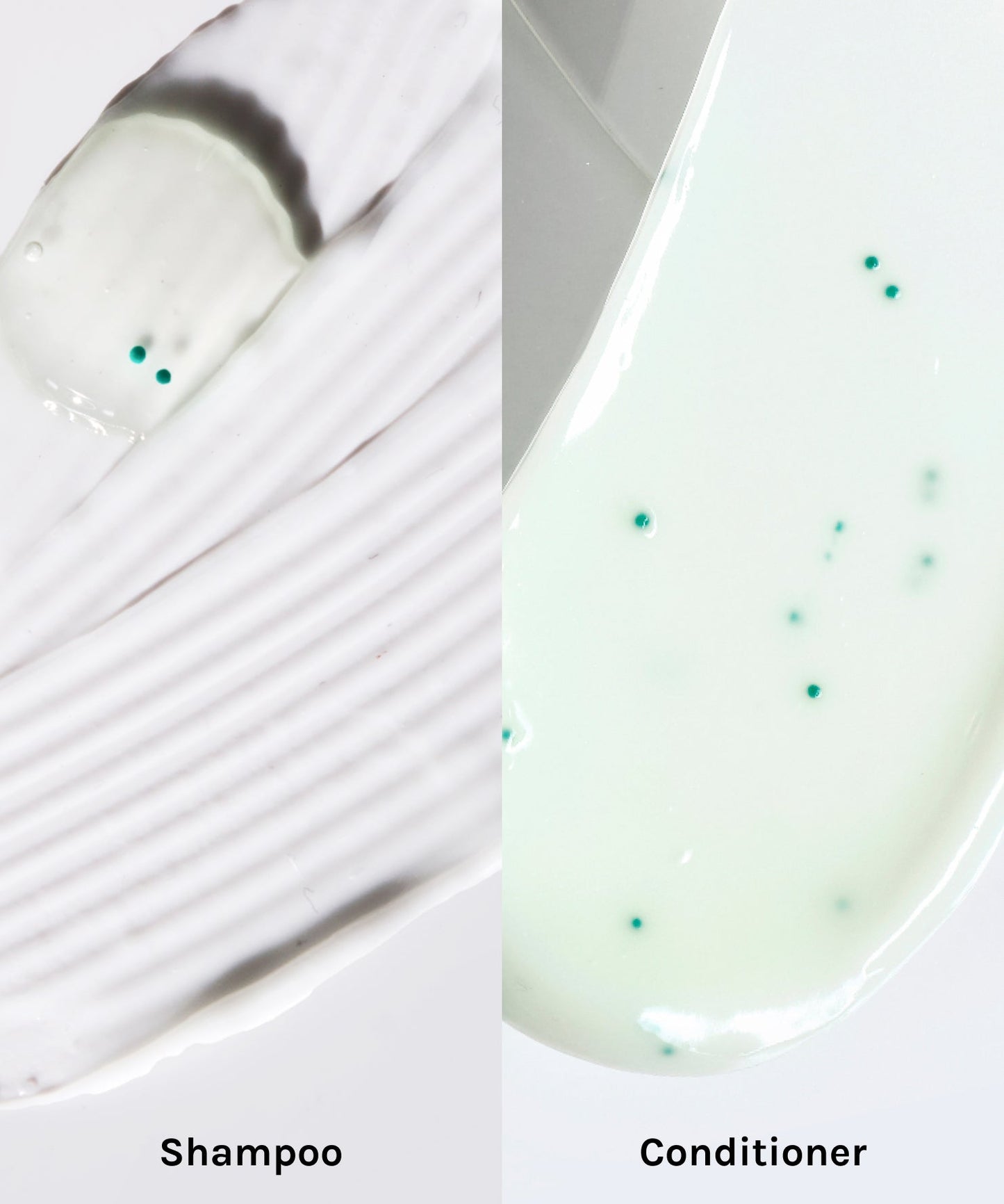Close-up of Dr. Groot Scalp Revitalizing Solution Thickening Shampoo with biotin, Caffeine, Prebiotics. Rosemary Oil,  for stronger, fuller hair.